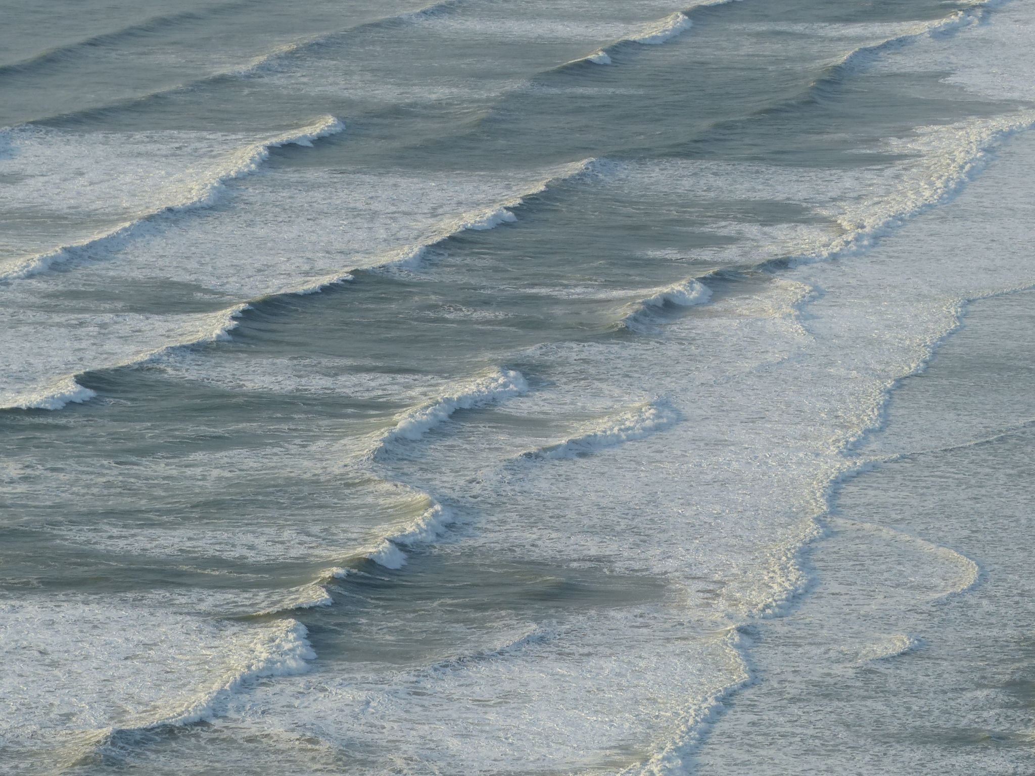 Mer sauvage. P1170114